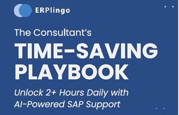 Download the SAP Consultant’s Time-Saving Playbook